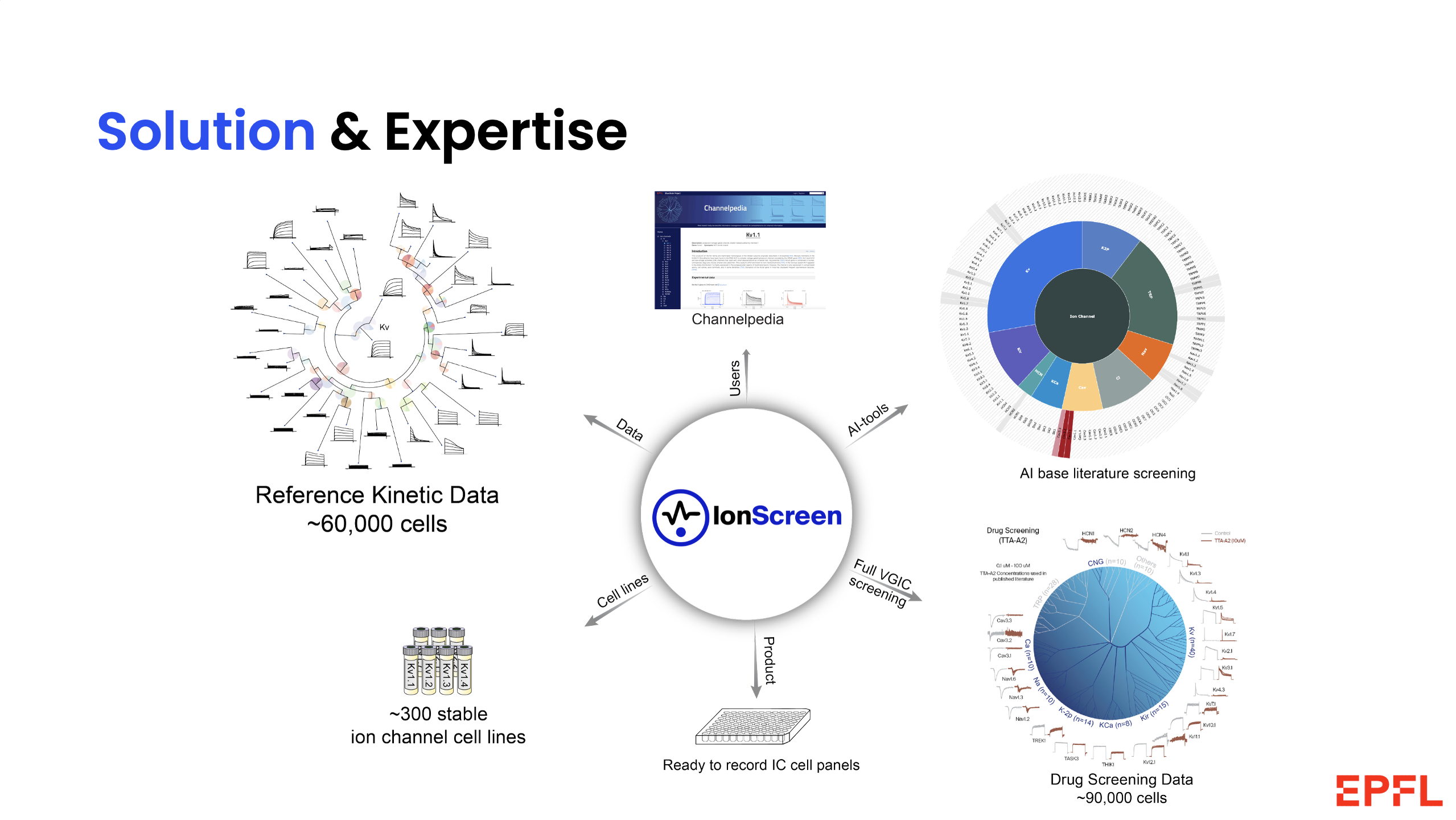 IonScreen Pitch Deck - Slide 4